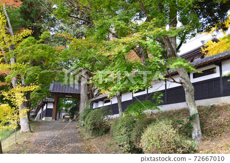 Nishinenji 2020-11-8＃88 72667010