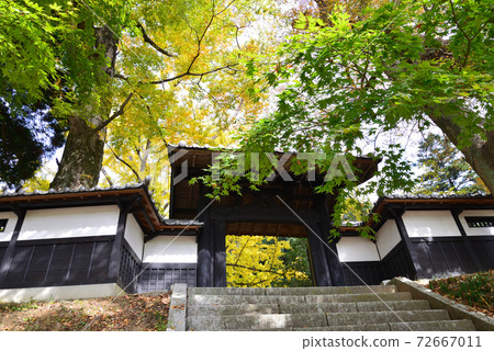 Nishinenji 2020-11-8#87 Nishinenji 2020-11-8#87 72667011