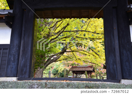 Nishinenji 2020-11-8＃86 72667012