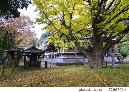 Nishinenji Temple 2020-11-8 # 84 Nishinenji Temple 2020-11-8 # 84 72667014