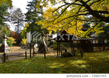 Nishinenji Temple 2020-11-8 # 95 72667345