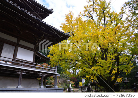 Nishinenji 2020-11-8＃91 72667350
