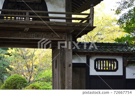 Nishinenji 2020-11-8＃104 72667754