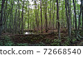 新潟縣十日町的美麗森林 72668540