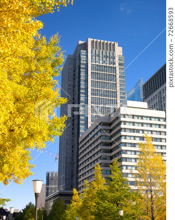 Marunouchi office building area and ginkgo trees in Tokyo 72668593