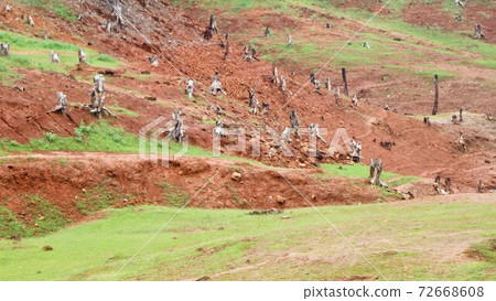 Old cut roots of trees isolated in the dam  catchment  area.... 72668608