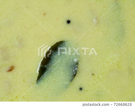 Gravy of chakkakkuru and manga ( jackfruit seed and raw mango), a traditional Kerala curry Gravy of chakkakkuru and manga ( jackfruit seed and raw mango), a traditional Kerala curry 72668628