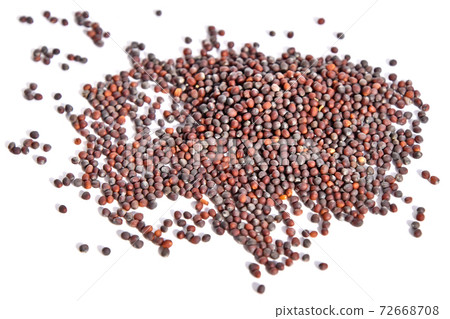 Seed (Kyosui) 72668708