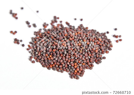 種子（京水） 72668710