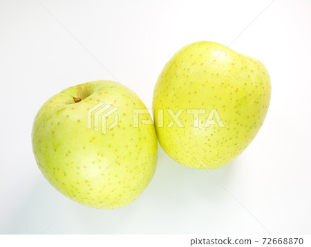 蘋果蘋果蘋果皇家森林 蘋果蘋果蘋果皇家森林 72668870