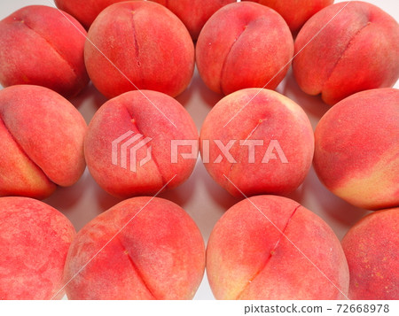 桃桃桃 桃桃桃 72668978