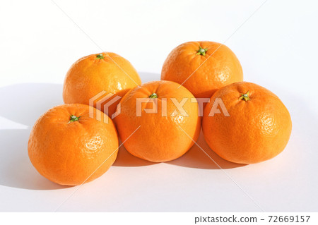 Mandarin orange (Harehime) 72669157