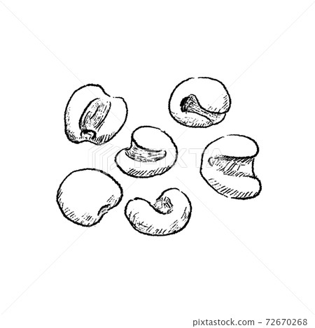Coix line art sketch 72670268