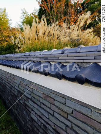 Japanese pampas grass, autumn leaves and roof Japanese pampas grass, autumn leaves and roof 72671291