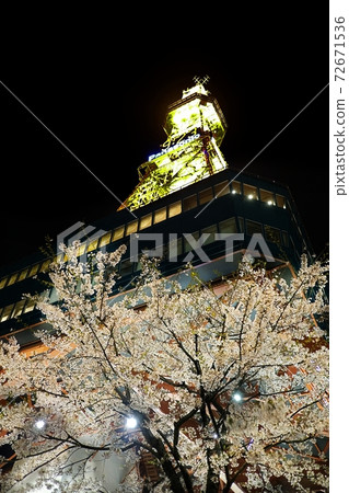 Sapporo TV Tower Sapporo TV Tower 72671536