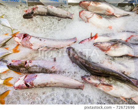 Fresh fish for sale at frozen seafood stall in 72672696