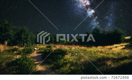 Green Trees Woods In Park Under Night Starry Sky Green Trees Woods In Park Under Night Starry Sky 72672898