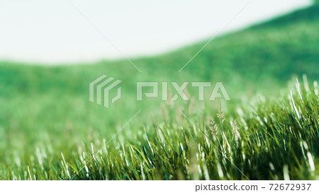 Green fresh grass as a nice background 72672937