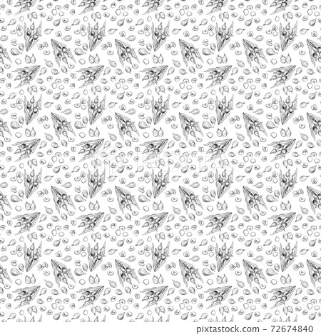 Coix pattern hand-painted sketch 72674840