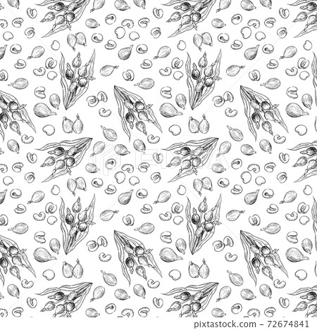 Coix pattern hand-painted sketch - Stock Illustration [72674841] - PIXTA