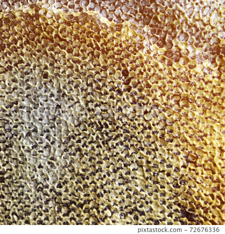 hexagon structure is honeycomb from bee hive filled with golden honey hexagon structure is honeycomb from bee hive filled with golden honey 72676336