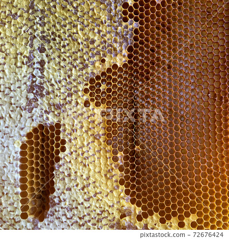 hexagon structure is honeycomb from bee hive filled with golden honey 72676424