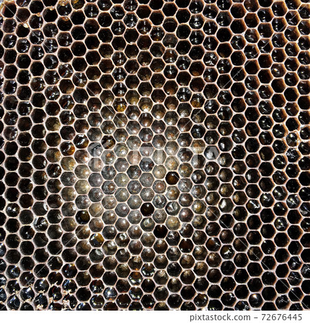 hexagon structure is honeycomb from bee hive filled with golden honey 72676445