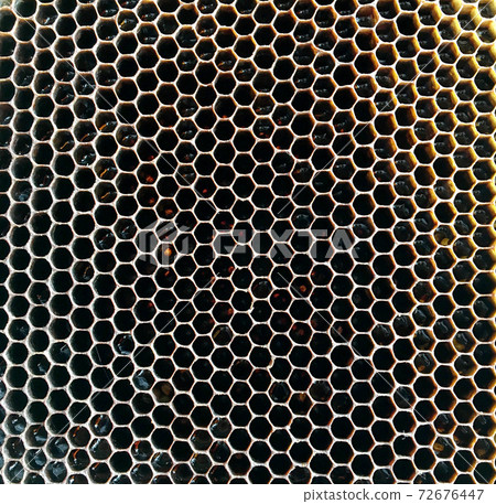 hexagon structure is honeycomb from bee hive filled with golden honey 72676447