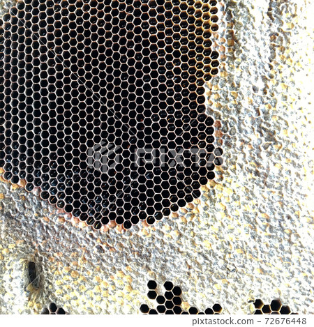 hexagon structure is honeycomb from bee hive filled with golden honey 72676448