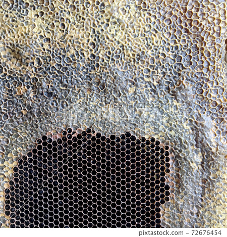 hexagon structure is honeycomb from bee hive filled with golden honey 72676454