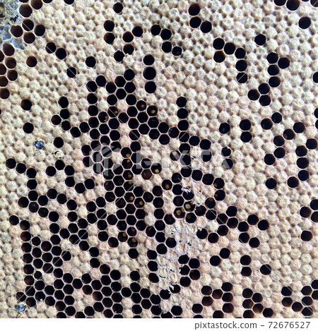 hexagon structure is honeycomb from bee hive filled with golden honey 72676527