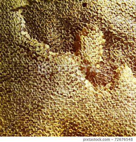 hexagon structure is honeycomb from bee hive filled with golden honey hexagon structure is honeycomb from bee hive filled with golden honey 72676548