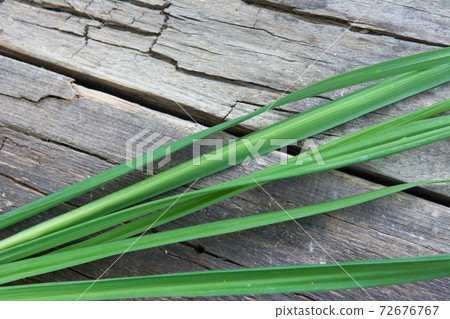 Green grass on  the background of old wooden gray board 72676767