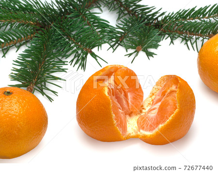 Tangerines and spruce branches 72677440