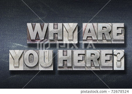 why are you here den 72678524