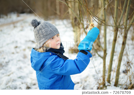 Preschooler child hangs homemade cookie made from seeds and cereals on a tree branch for the birds. Preschooler child hangs homemade cookie made from seeds and cereals on a tree branch for the birds. 72678709