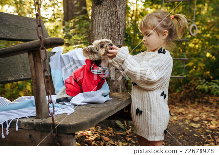 Kid play with dog on big wooden chai in the garden 72678978