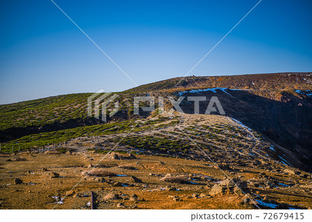 Bamboo grass Bamboo grass 72679415