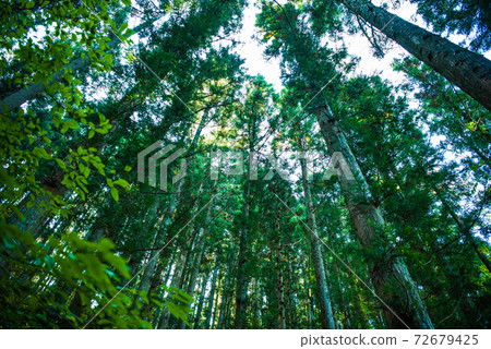 Akiho Otaki Akiho Otaki 72679425