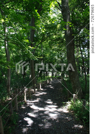 Sa山紀念公園(Sa玉縣Sa玉市中央區) Sa山紀念公園(Sa玉縣Sa玉市中央區) 72679665