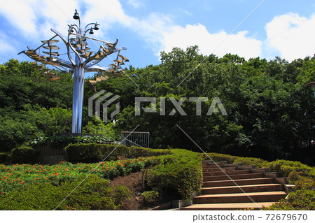 At Sagiyama Memorial Park (Midori Ward, Saitama City, Saitama Prefecture) 72679670