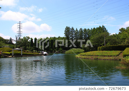 At Sagiyama Memorial Park, Shukeiike (Midori Ward, Saitama City, Saitama Prefecture) 72679673