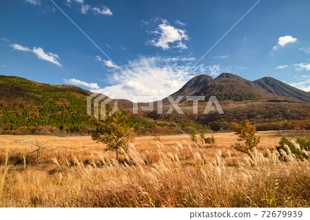 長原的風景 72679939