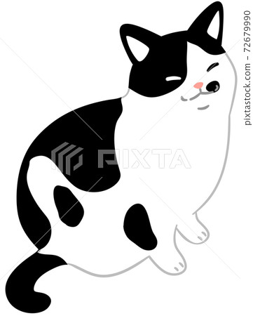 帶有背面圖案的貓（帶主線） 72679990