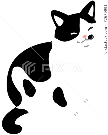 帶有背面圖案的貓（無主線） 72679991