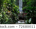 Jurong Bird Park Waterfall Aviary, one of the world's tallest man-made, indoor waterfalls 72680011