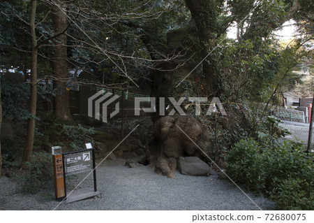 Kinomiya Shrine in winter, No. 2 Okusu (Atami City, Shizuoka Prefecture) 72680075