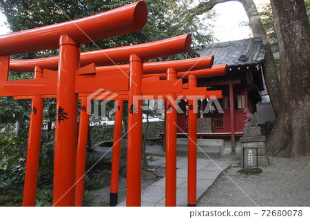 Winter Kinomiya Shrine / Inari Shrine (Atami City, Shizuoka Prefecture) Winter Kinomiya Shrine / Inari Shrine (Atami City, Shizuoka Prefecture) 72680078