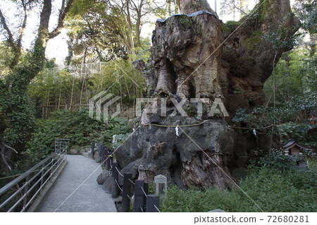 栗宮神社：奧us（靜岡縣熱海市） 72680281