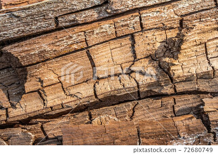 Old rotten wood with cracks and spore fungus. White mold on a wooden board. Pattern of mold on the wood, background or texture. 72680749